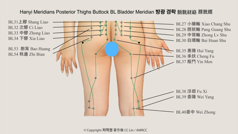 Aroma Massage 마사지 マッサージ cover image