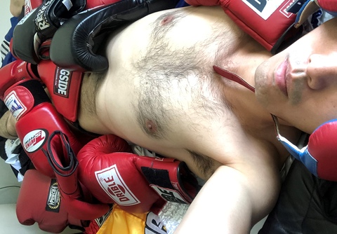 Joeboxerbr cover image