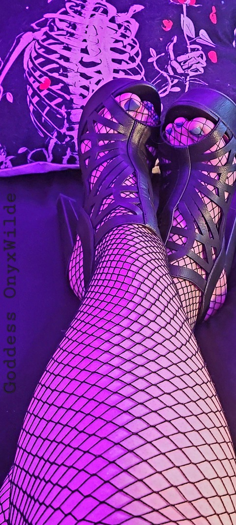 OnyxWilde cover image