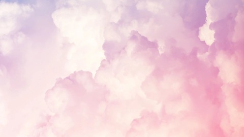 Druscilla cover image