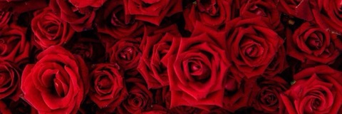 Deactivated. profile image