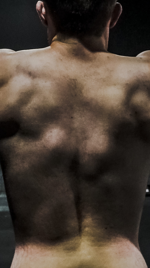 FlexDownUnder cover image