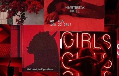 ᴛᴏᴀsᴛʏʙᴜɴᴢ cover image