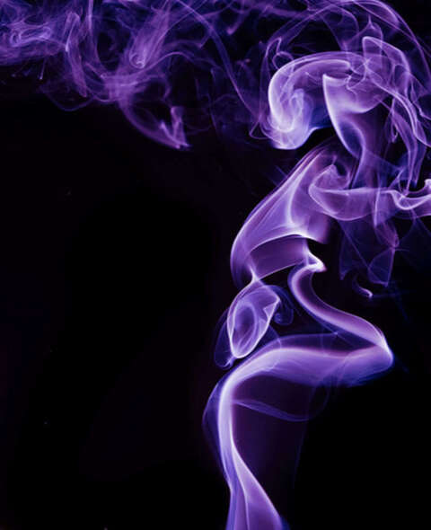 Trinety Guess cover image