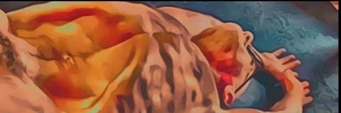 Nevertoolate cover image