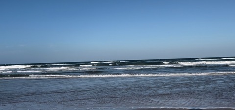 Rafaeldelatino cover image