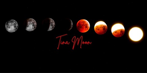 🌒Tina Moon🌘 cover image