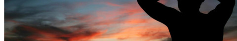 StPeteDude cover image