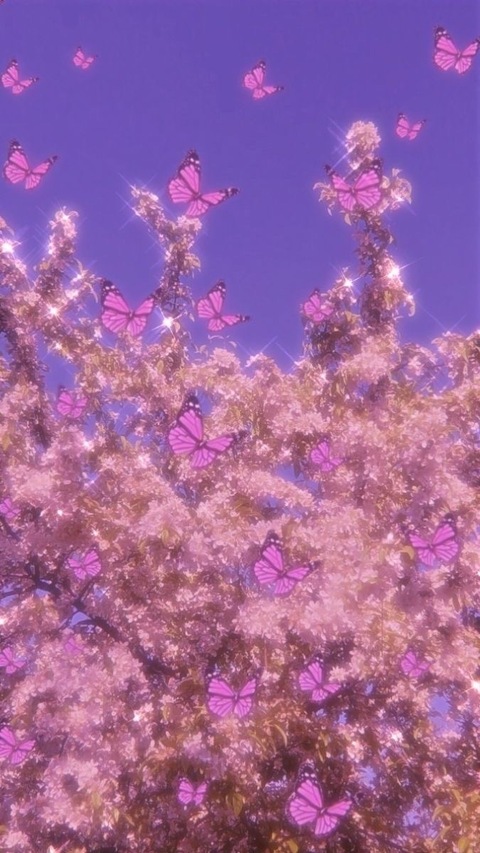 🦋 cover image