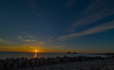 尋熊者 cover image