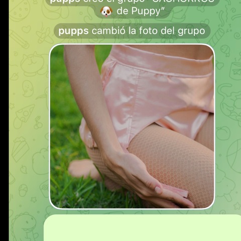 Pupps 🐾 cover image