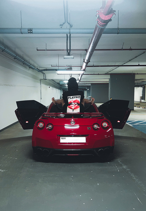 StallionFree 🐎 cover image