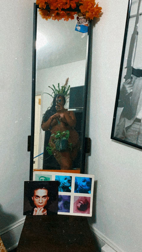Paradise cover image