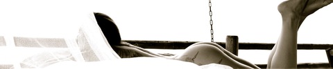 ladySJ cover image