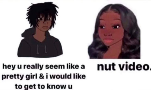 Nut Video King *WATCH MY STORY* cover image