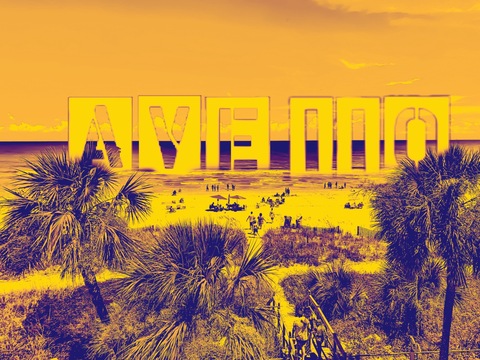 AVE 110 cover image