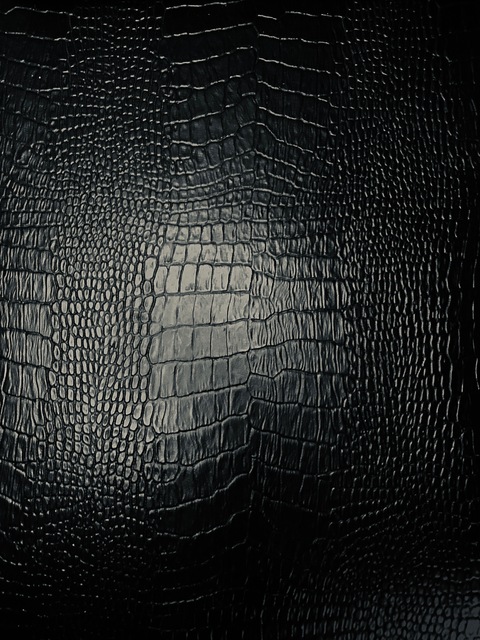 Rafael Zorzella cover image