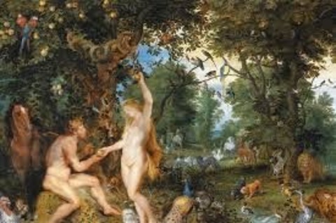 AdamEveTv cover image