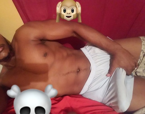 El negro cover image