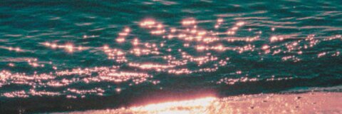 Calina cover image