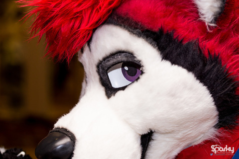 Cenny After Bark 💄 cover image
