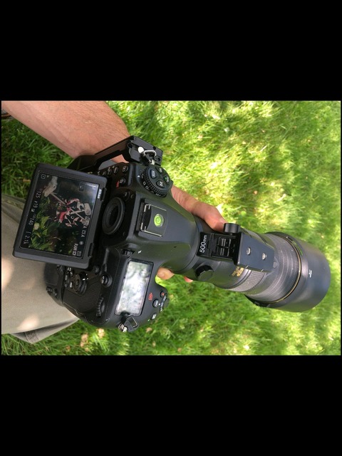 Nick’s photography cover image