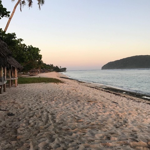 Teilani cover image