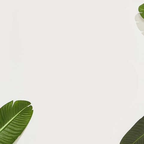April C cover image