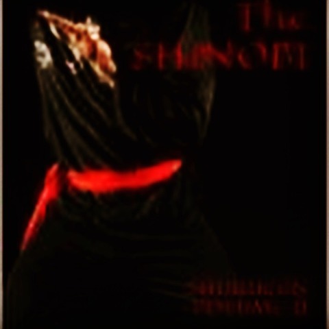 Reg. D. Lyons Indie Author Extraordinary cover image