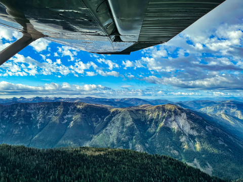 Montana Brat cover image