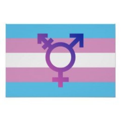 riotgrrl cover image