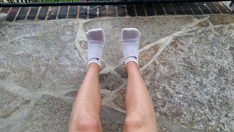Camtastical Socks cover image