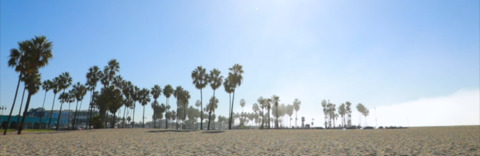Austin Avery cover image