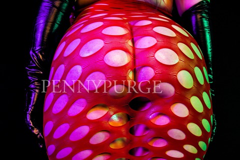 Penny Purge cover image