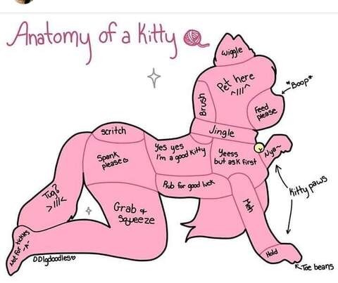 MrsKitty_milf cover image