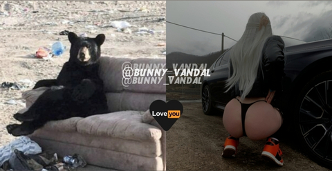 BunnyVandal cover image