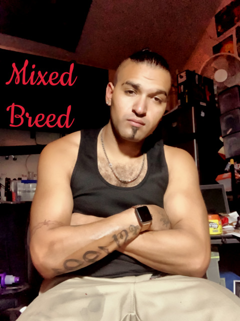 Mixedbreed420 cover image