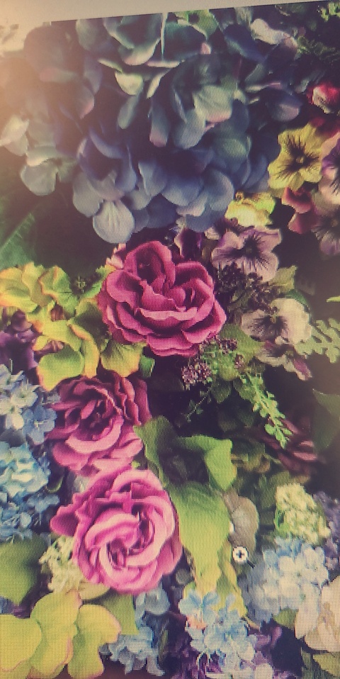 Katherine M cover image