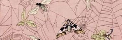 V.V. cover image