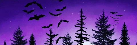 Daedra𖤐 cover image