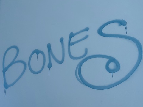 BONES cover image
