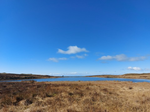 PB cover image