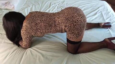 curvyasianwife cover image