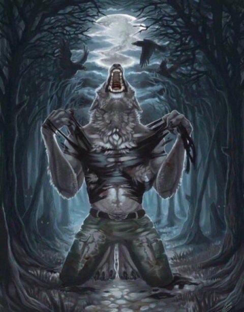 The true rizzard of oz 🪄🧙🏼‍♂️ cover image