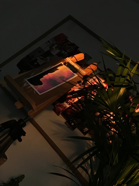 Andy cover image