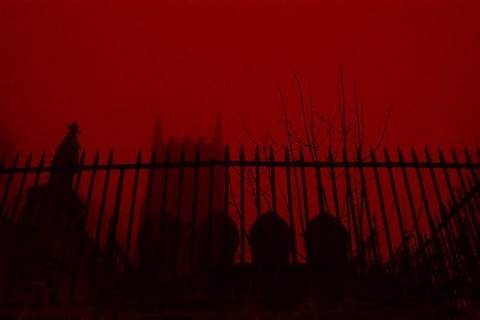 🖤 🥀 𝓚𝓲𝓻𝓪 🥀 🖤 cover image