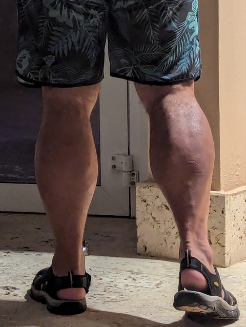MrCalves cover image
