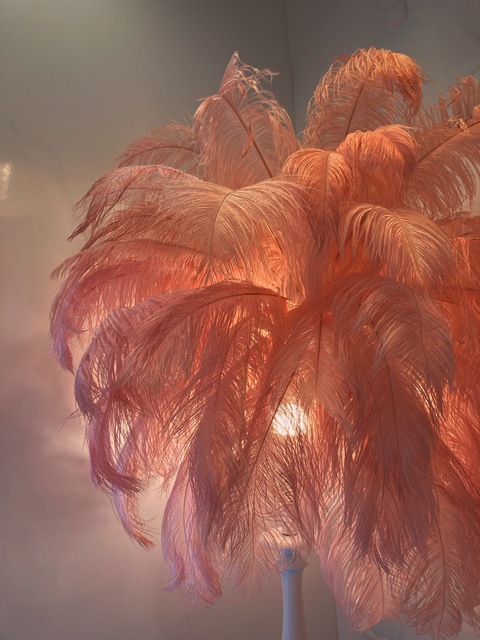 Vivian cover image