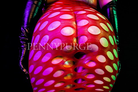 Penny Purge cover image