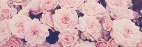 C H L O É 💗🌸🦄 profile image